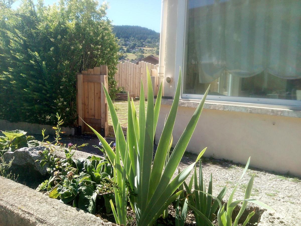 Gite De L'Allee Du Toit Vosgien Avec Terrasse Et Vue Sur La Montagne เฌราร์แมร์ ภายนอก รูปภาพ
